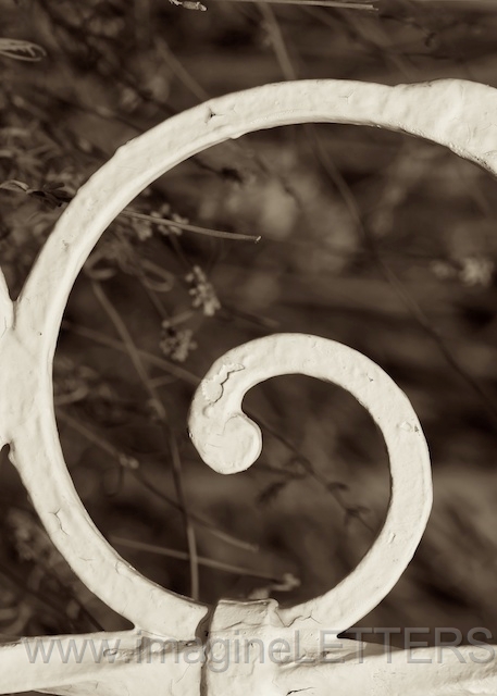 Wall_Art_Alphabet_Photography_Art_ 697.jpg